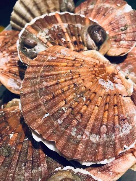 RESTO : BRUT ou le bien-être dans votre assiette ! (Bruxelles) 47204917_522516351588630_1311947418975076352_n