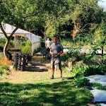 RESTO : BRUT ou le bien-être dans votre assiette ! (Bruxelles) RESTO : BRUT ou le bien-être dans votre assiette ! (Bruxelles)