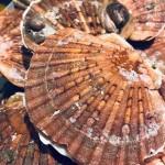 RESTO : BRUT ou le bien-être dans votre assiette ! (Bruxelles) RESTO : BRUT ou le bien-être dans votre assiette ! (Bruxelles)