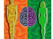 CERVEAU SEXE partagent même voie génétique