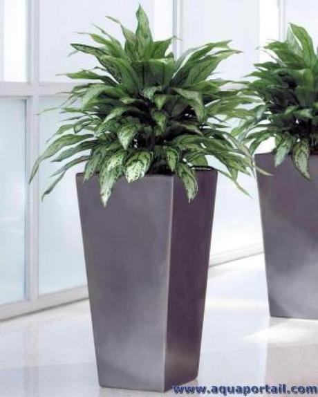 Plantes artificielles Une plante artificielle en intérieur