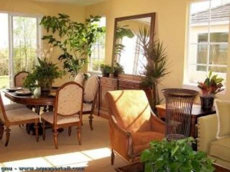 Plantes artificielles Un intérieur design avec des plantes artificielles