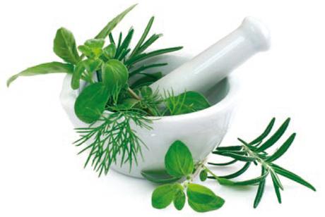 Plantes médicinales Plantes médicinales