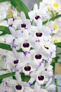 <i data-recalc-dims=