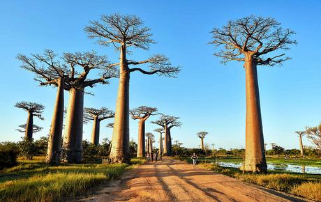 Séjour à Madagascar : les sites d’intérêt à découvrir