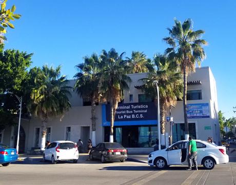 Visiter La Paz au Mexique: le TOP 15 des choses à faire et à voir! Visiter La Paz au Mexique: le TOP 15 des choses à faire et à voir!