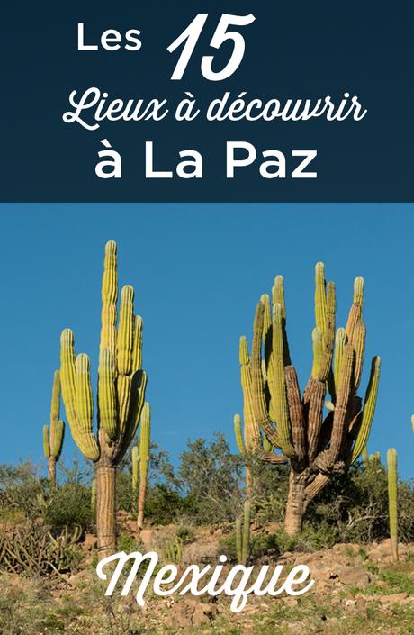 Visiter La Paz au Mexique: le TOP 15 des choses à faire et à voir!