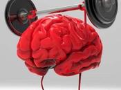 être #antifa, c’est aussi lutter contre #sexisme, l’#homophobie #cyberharcelement (hashtag #Liguedulol)