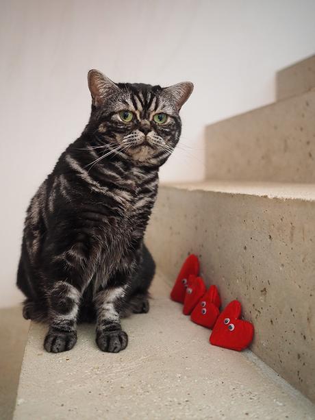 DIY Cœur de Saint Valentin à faire soi-même