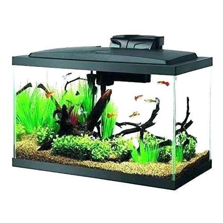 walmart betta fish cool fish tanks cool fish tank ideas that will inspire you fish aquarium walmart betta fish food
