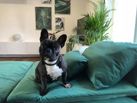 avis housse ikea comfort works