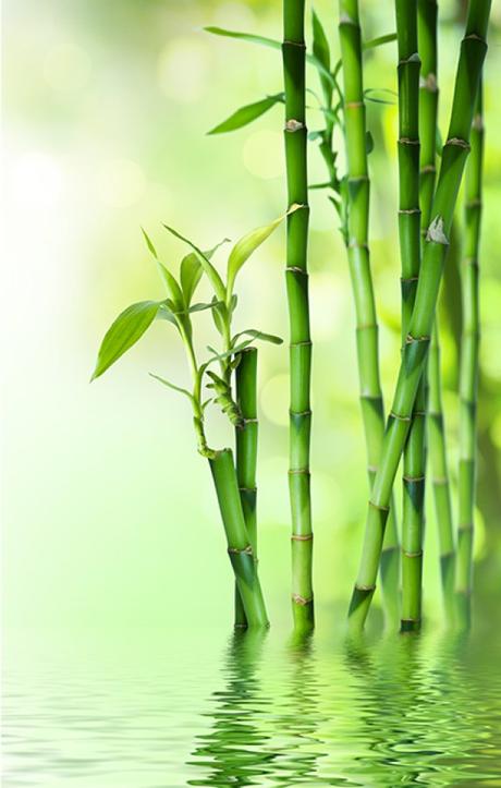 Beauté naturel st brevin