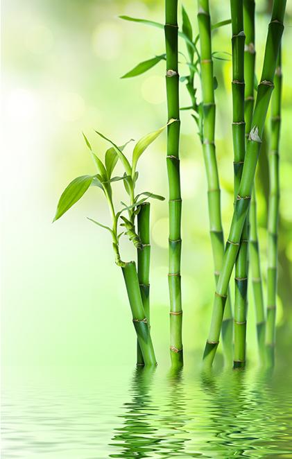 Beauté naturel st brevin Beauté naturel st brevin