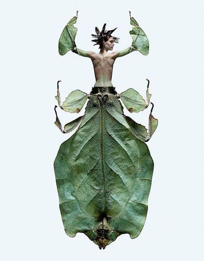 Mi-insecte mi-femme de Laurent Seroussi