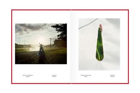 JONO ROTMAN – MONGRELISM