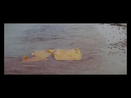 SCÉNARIO MODÈLE : LES DENTS DE LA MER SCÉNARIO MODÈLE : LES DENTS DE LA MER