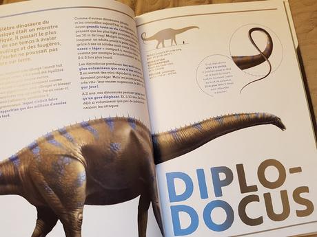 Animaux d'Afrique - Dinosaures Découvre le monde avec Hachette Enfants