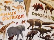Animaux d'Afrique Dinosaures Découvre monde avec Hachette Enfants