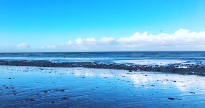 Préparation 1er marathon : veillée d'armes ! Préparation 1er marathon : veillée d'armes !