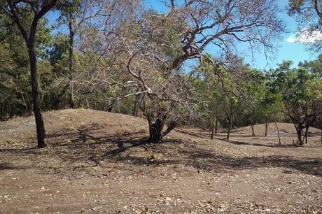 Des lieux de sépultures aborigènes confirmés dans la péninsule du Cap York en Australie