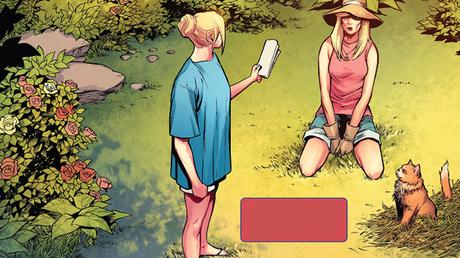 La Vie de Captain Marvel