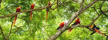 Photo prise sur Google les miennes à mon retour