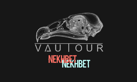 #Musique - Le groupe électro Français #VAUTOUR dévoile son single Nekhbet !