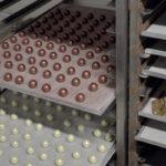 ZOOM M&O PARIS – ECAL MADE Projet étudiant : Interview de Hugo Paternostre et de son projet la grappe ZOOM M&O PARIS – ECAL MADE Projet étudiant : Interview de Hugo Paternostre et de son projet la grappe