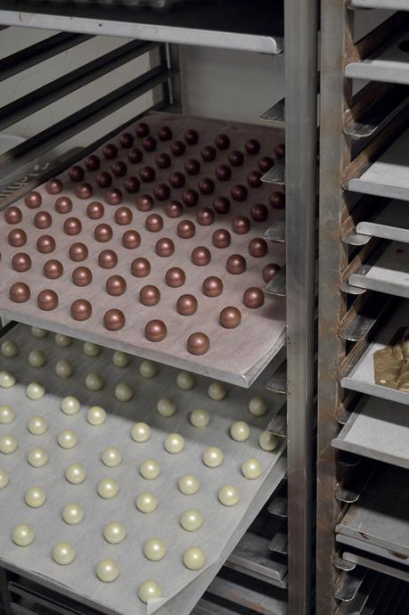 ZOOM M&O PARIS - ECAL MADE Projet étudiant : Interview de Hugo Paternostre et de son projet la grappe ZOOM M&O PARIS - ECAL MADE Projet étudiant : Interview de Hugo Paternostre et de son projet la grappe