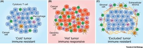 #trendsincellbiology #cancer #immunothérapie Paysage Mutationnel et Antigénique dans la Progression des Tumeurs et de l’Immunothérapie du Cancer