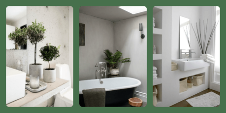 Plante intérieur design