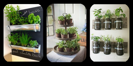 Plante intérieur design