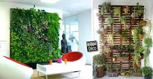 Plante intérieur design