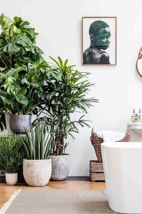 salle de bain ambiance zen plante verte pots rangements décoration blog déco clem around the corner