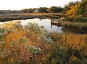 Sartoris William Faulkner