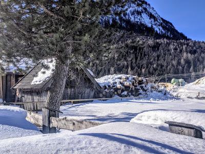 Langlauf auf dem Riedboden - Mittenwald - Ski de fond au Riedboden - 16.02.2019