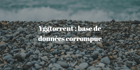 Yggtorrent : retour de maintenance Yggtorrent : retour de maintenance