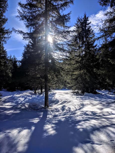 Langlauf / Ski de fond - Riedboden - Mittenwald - 17.02.2019.