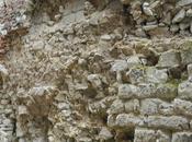 Apulée février 2019