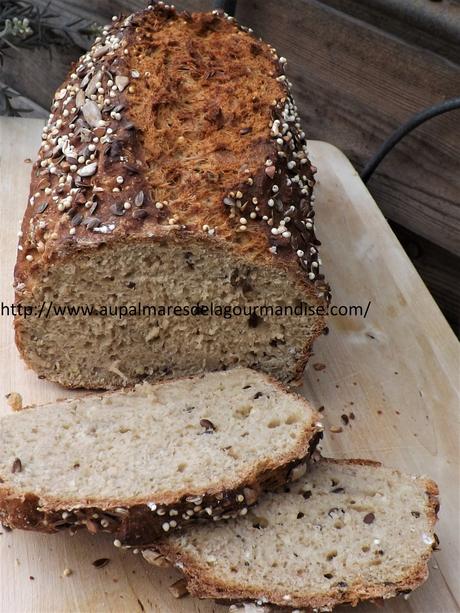 Pain rapide aux graines,sans levée à *l'épeautre T150* et Fiberpasta* ou Fiberpro*