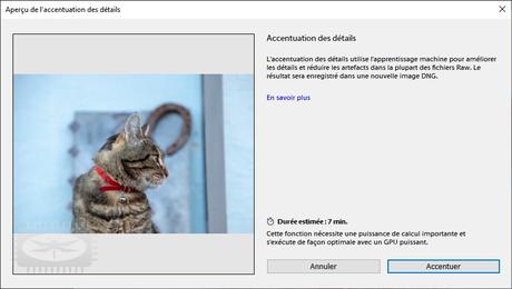Accentuation des détails des images Raw dans Lightroom CC et Camera RAW Accentuation des détails des images Raw dans Lightroom CC et Camera RAW
