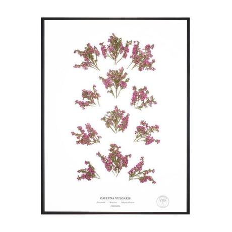 Amoureux des plantes et des fleurs, succombez en décoration à la marque Herbarium