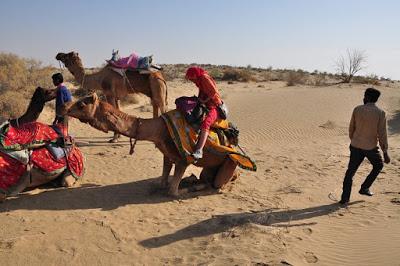 Mini safari dans le désert du Thar