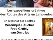 MONTPELLIER Routes Arts Languedoc février
