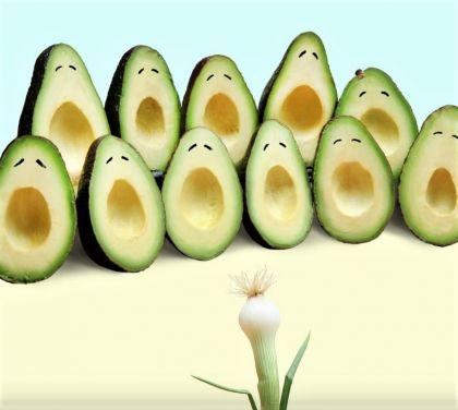 L'art alimentaire de Helga Stentzel L'art alimentaire de Helga Stentzel