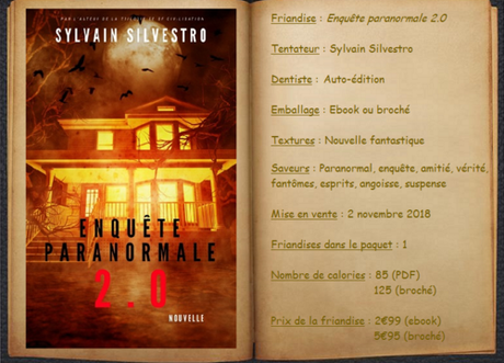 Enquête paranormale 2.0 - Sylvain Silvestro