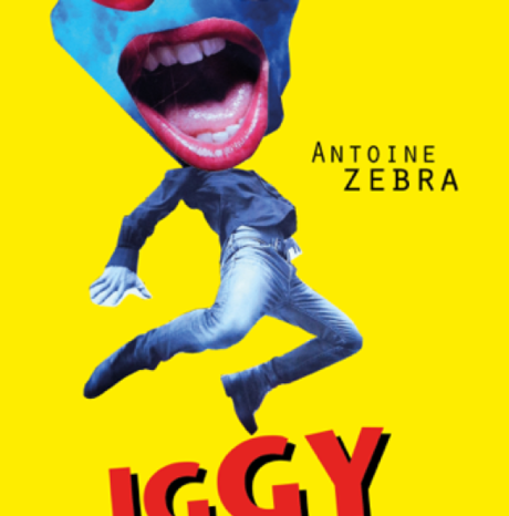 #Livre - #Musique - Iggy Salvador premier roman de DJ Zebra revient sur l'histoire du bootleg !