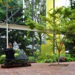 FUNGI le banc recyclé par Akos Huber FUNGI le banc recyclé par Akos Huber