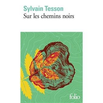 Sur les chemins noirs de Sylvain TESSON