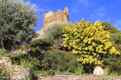 Le village des fleurs